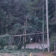 manzano