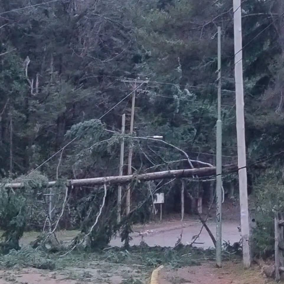 manzano