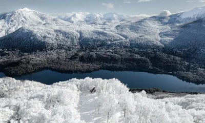 nieve
