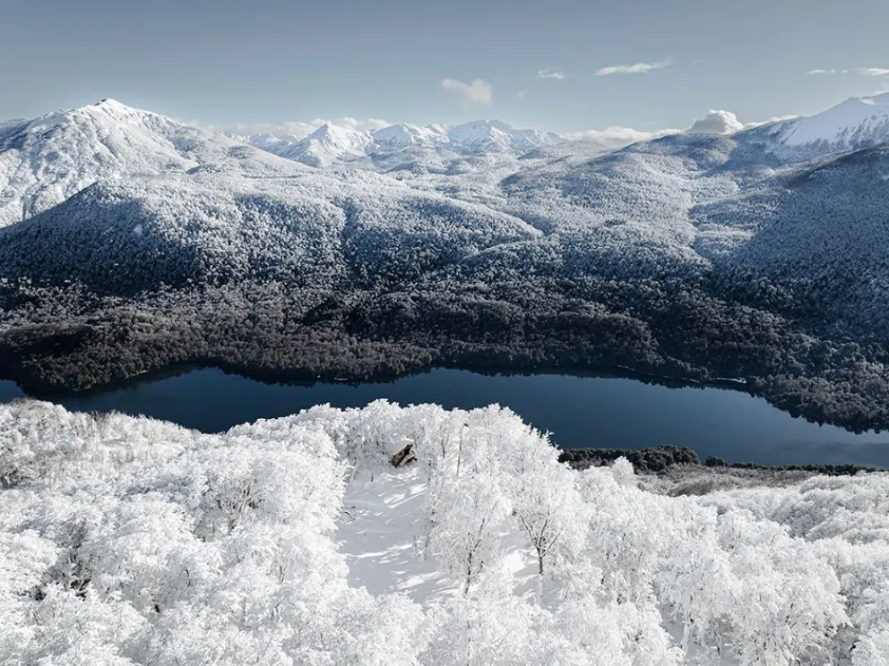 nieve