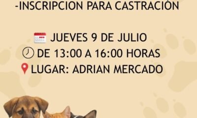 vacunación antirrábica